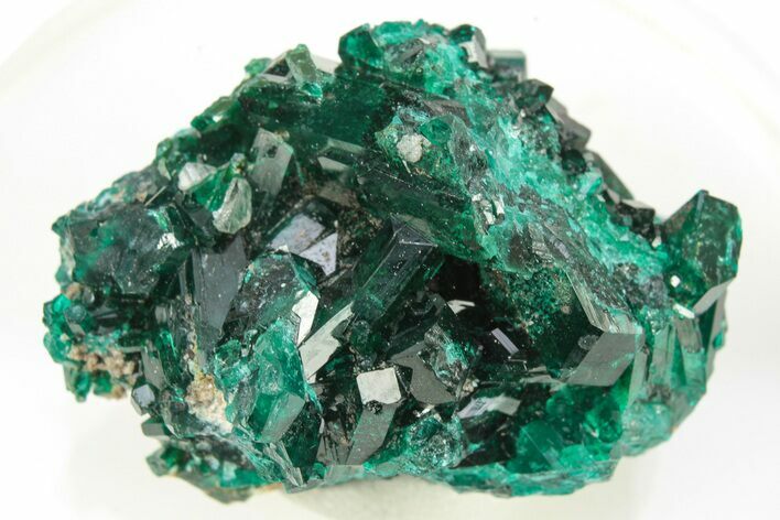 Lustrous Dioptase Crystal Cluster - Republic of the Congo #266270